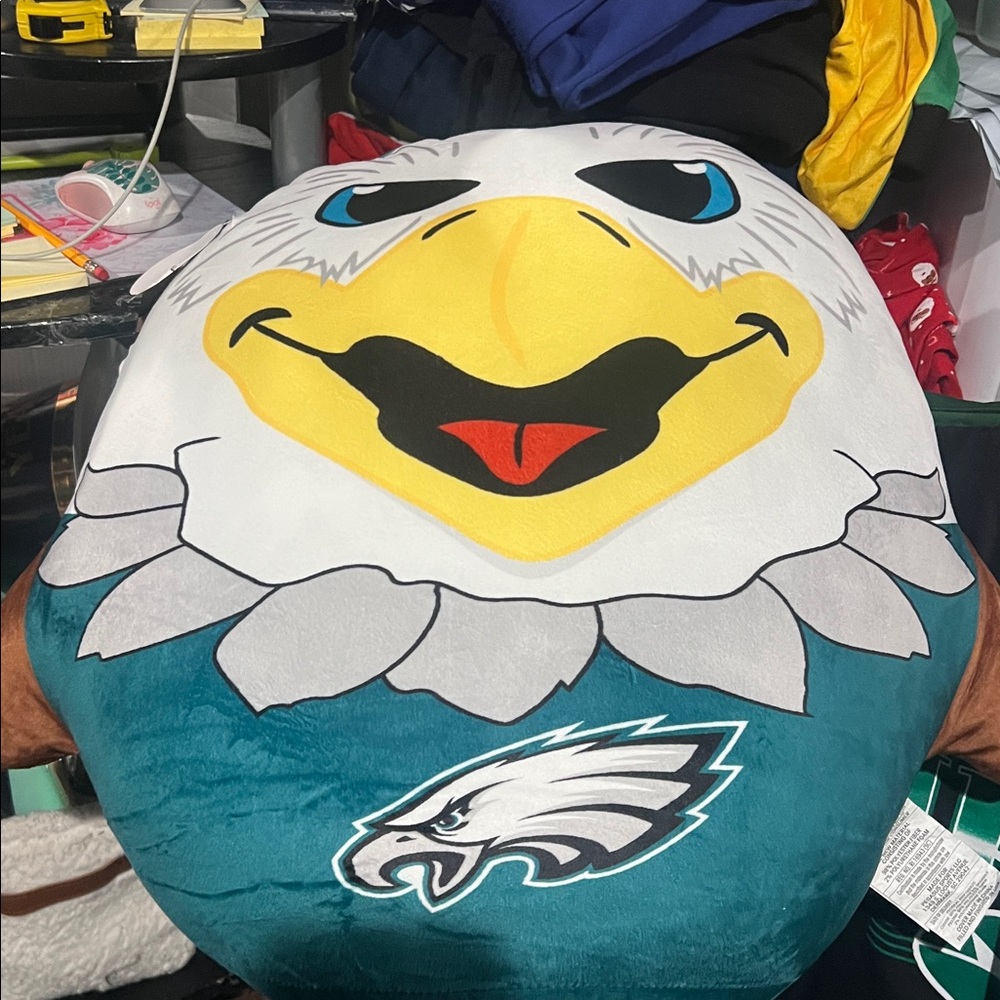 Eagle Big Pillow Call Out Needs One Little Mending